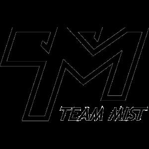 Team Mist队