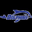 Dolphins队