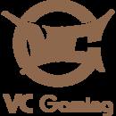 VC Gaming队