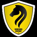 Horsens Esport队