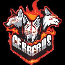 CERBERUS Esports队