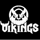 Vikings Gaming队