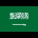 Saudi Arabia队