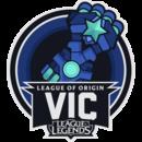 Team VIC队