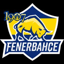 Fenerbahce Academy队