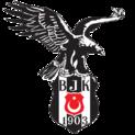 Besiktas Academy队