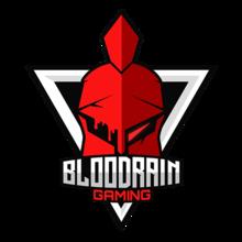 BloodRain-Gaming队